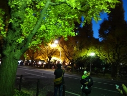 DSC00146+1.jpg