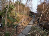 DSC01052+1.jpg