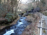 DSC01096+1.jpg