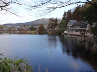 DSC01107+1.jpg