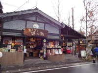 DSC01115+1.jpg
