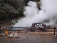 DSC01137+1.jpg