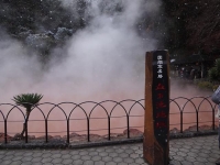DSC01169+1.jpg
