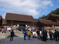 DSC01174+1.jpg