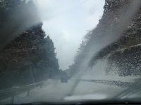 DSC01184+1.jpg