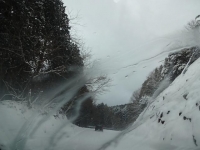 DSC01185+1.jpg