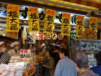 DSC01256+1.jpg
