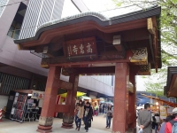 DSC01260+1.jpg