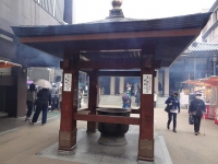 DSC01262+1.jpg