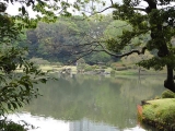 DSC01302+1.jpg