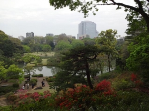 DSC01306+1.jpg