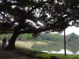 DSC01312+1.jpg
