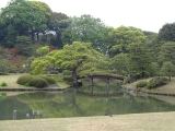 DSC01317+1.jpg