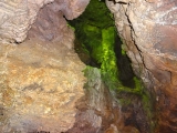 DSC01337+1.jpg