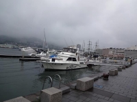 DSC01348+1.jpg