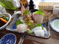 DSC01375+1.jpg