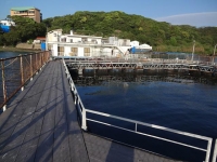 DSC01420+1.jpg