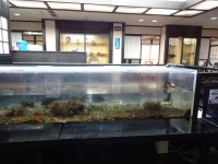 DSC01425+1.jpg