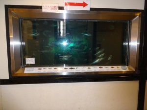 DSC01426+1.jpg
