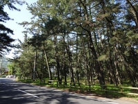 DSC01433+1.jpg