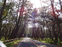 DSC01436+1.jpg