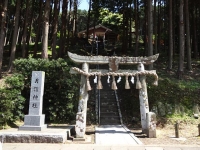DSC01450+1.jpg