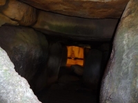 DSC01452+1.jpg