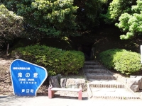 DSC01453+1.jpg