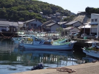 DSC01454+1.jpg