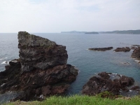 DSC01513+1.jpg