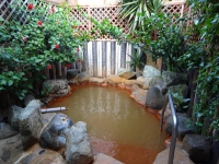 DSC01523+1.jpg