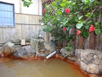 DSC01524+1.jpg