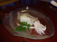 DSC01530+1.jpg