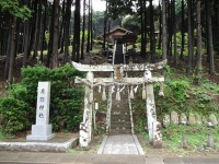 DSC01546+1.jpg