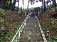DSC01548+1.jpg