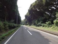 DSC01618+1.jpg