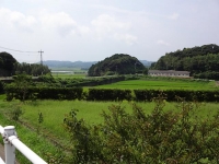 DSC01619+1.jpg