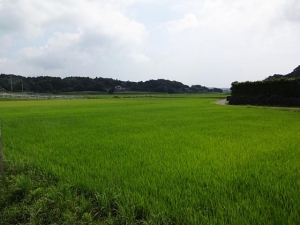 DSC01625+1.jpg