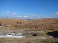 DSC01815+1+1.jpg