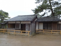 DSC01844+1.jpg