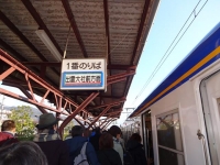 DSC01897+1.jpg
