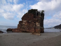 DSC01913+1.jpg