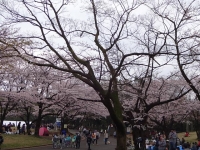 DSC02067+1.jpg