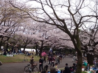 DSC02076+1.jpg