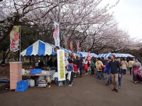 DSC02091+1.jpg