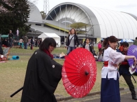 DSC02115+1.jpg