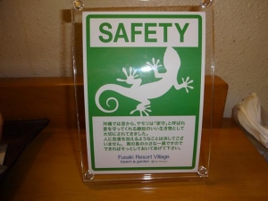 DSC02162+1.jpg