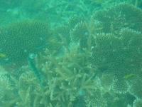 DSC02246+1.jpg
