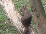 IMG_0893+1.jpg