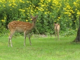IMG_0902+1.jpg